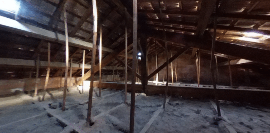 Coquelicots lattis plâtre