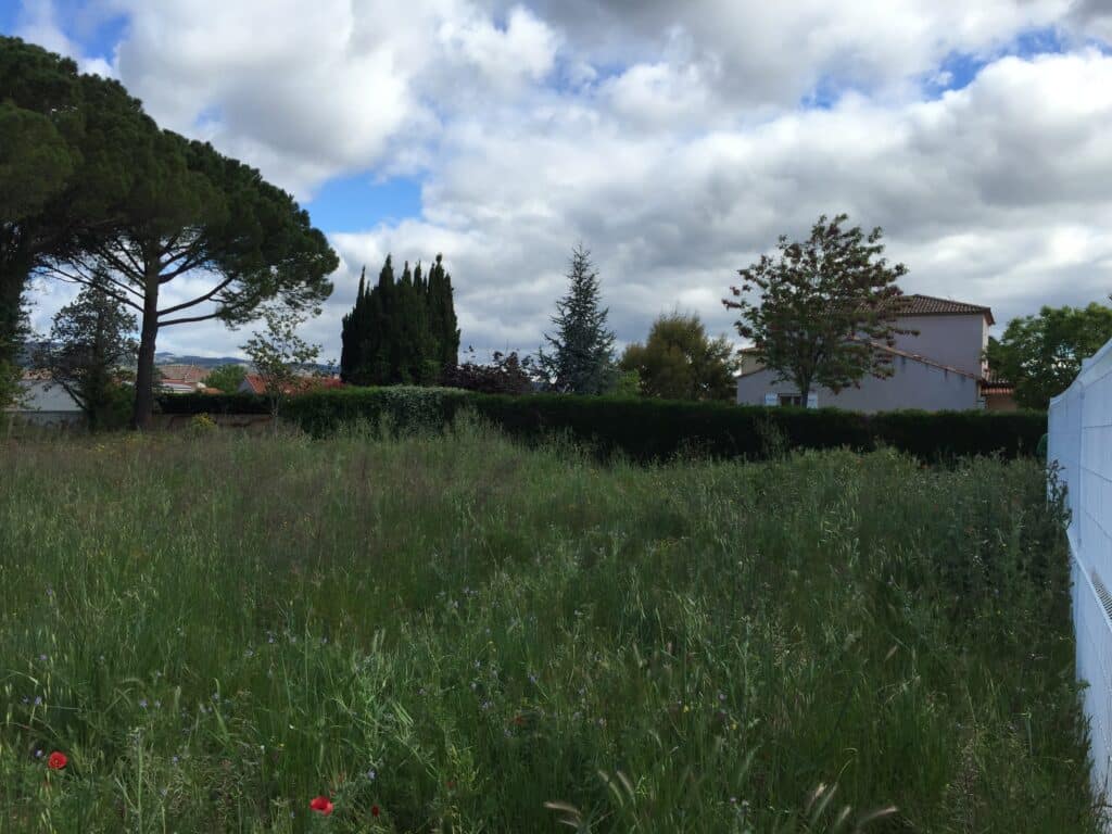 Gustave Eiffel photo