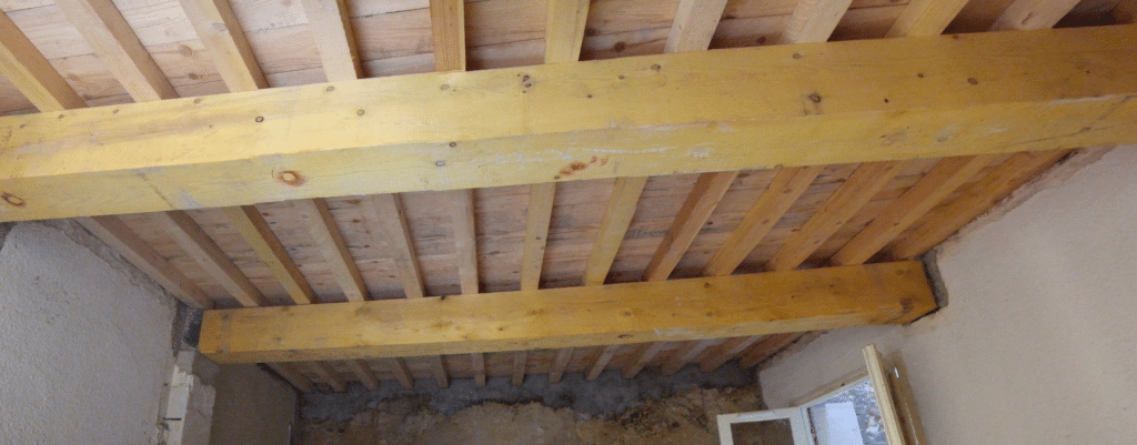 Barnabé plafond bois