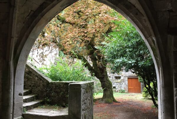 Vue entrée à Mercuer